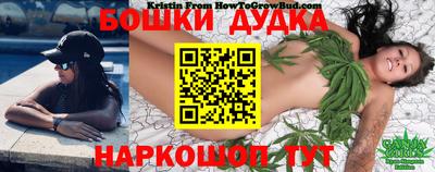 СК Владимир