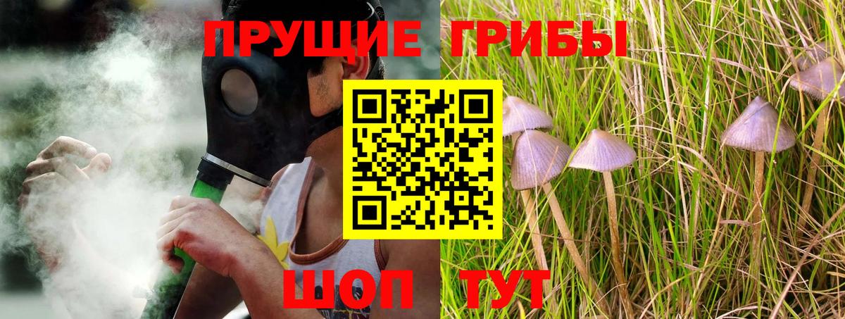 Псилоцибиновые грибы Cubensis  Вход с VPN  Мытищи 